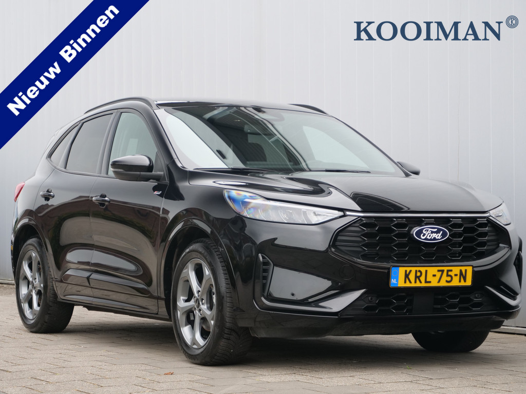55548658