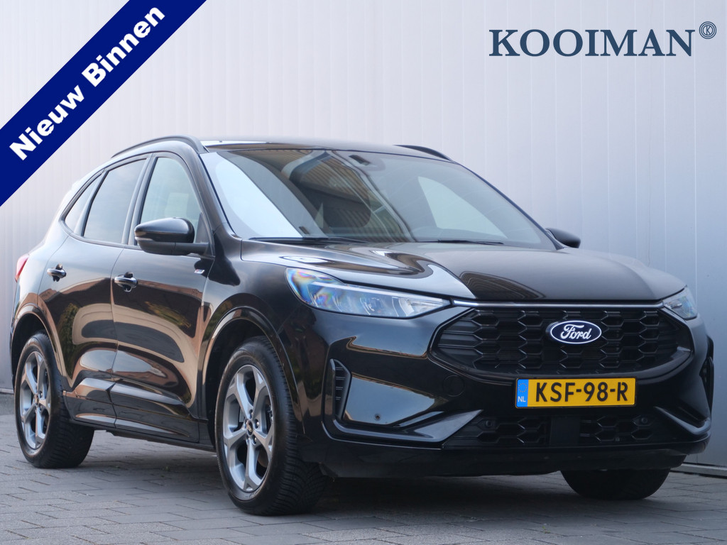 55589926