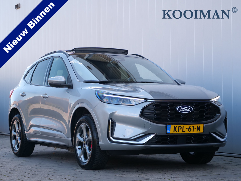 56376262